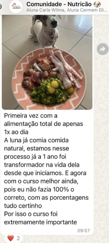 Depoimento 14