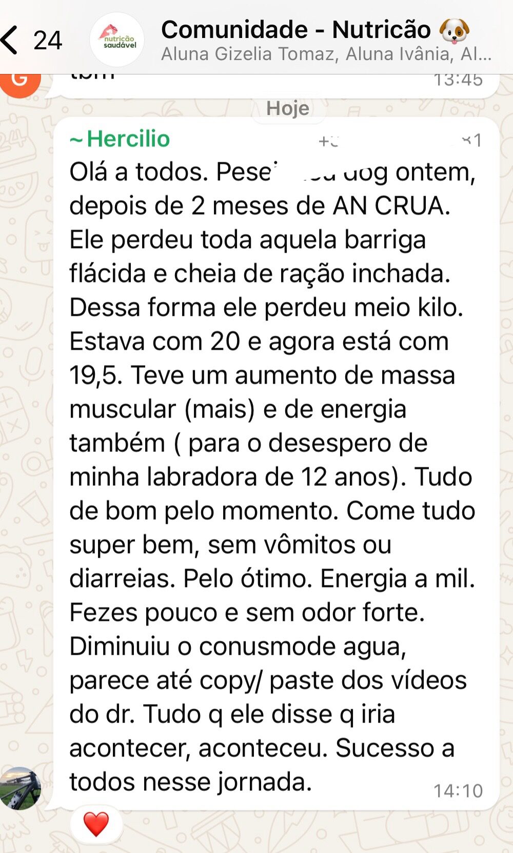 Depoimento 6